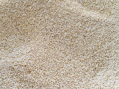  Sebzeli buğday-yenilebilir sebzeli beyaz buğday