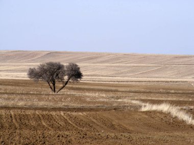 Arazi İklim ve alanları eriyen kar