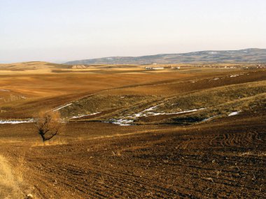 Bozkır iklimi ve bozkır iklimi, doğası, bahar geliyor görünümünü sevgisi,