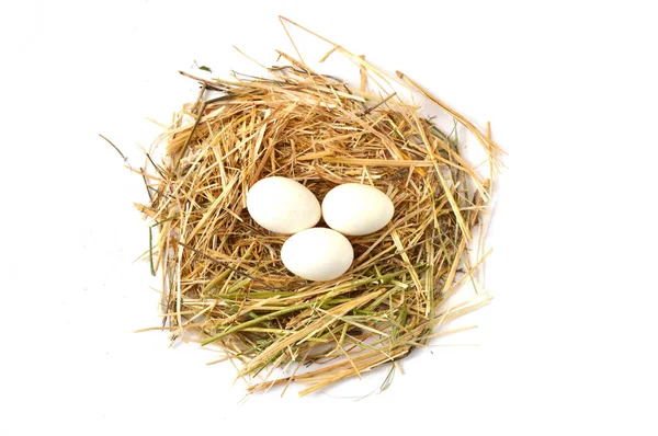 Photos des œufs de poulet dans le plus beau sol blanc, herbes et plantes dans les œufs de poulet, nid de poulet et œufs , — Photo