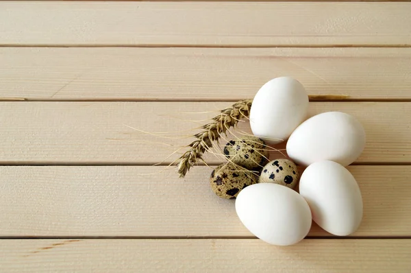 pictures of the eggs in the quail\'s nest, chicken and quail eggs, pictures of the chicken eggs in the most beautiful white ground