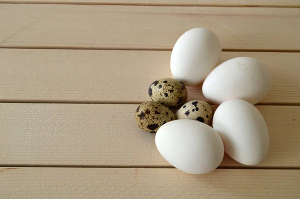 Des photos des œufs dans le nid de caille, des œufs de poulet et de caille, des photos des œufs de poulet dans le plus beau sol blanc — Photo
