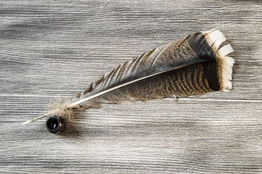  nostaljik kuş tüy kalem ve mektup kağıt