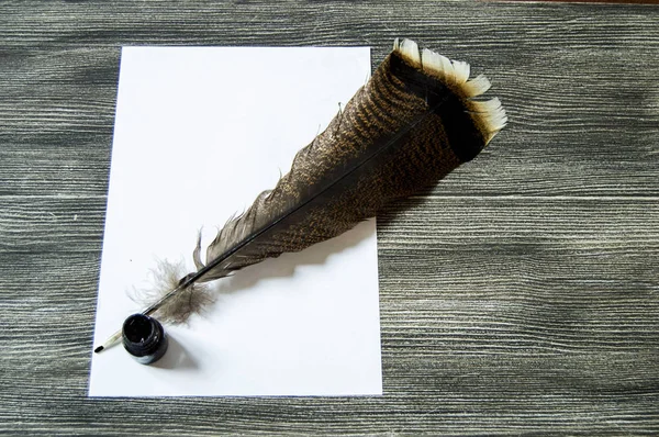 the nostalgic bird feather pen and letter paper