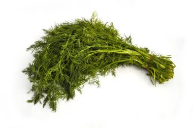 Dereotu bitki, yeşil dereotu, bir demet dereotu, beyaz arka plan ile dill resimleri