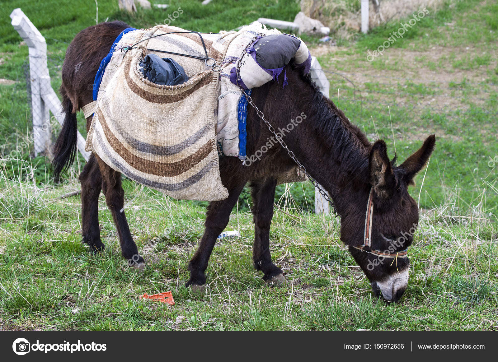 asses full of loads and pictures Asses full of loads and pictures