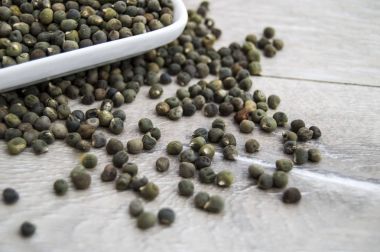 Bamya tohumu hazır dikti, bamya tohumu plaka,