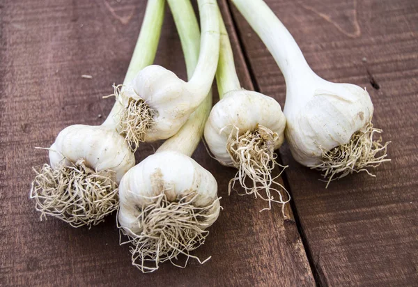 Newly cut stalked garlic pictures, green handle garlic — Stock Photo, Image