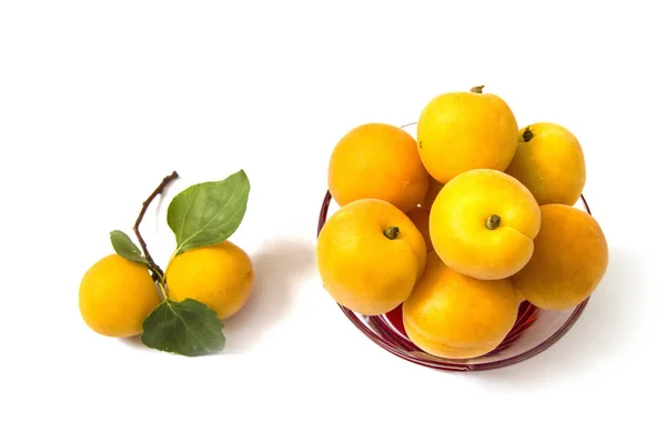 Perfeito damasco maduro fotos de frutas em prato, Solução de ervas para constipação doença damasco fruta — Fotografia de Stock