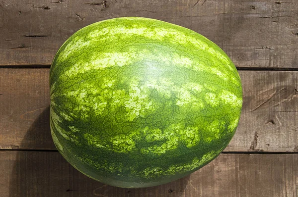 Meloun v létě, celý meloun a nůž obrázek — Stock fotografie