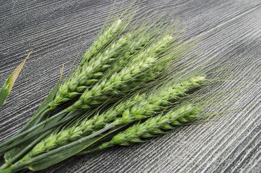 Beyaz arka plan, buğday Başak bitki, örnek buğday Başak buğday Başak