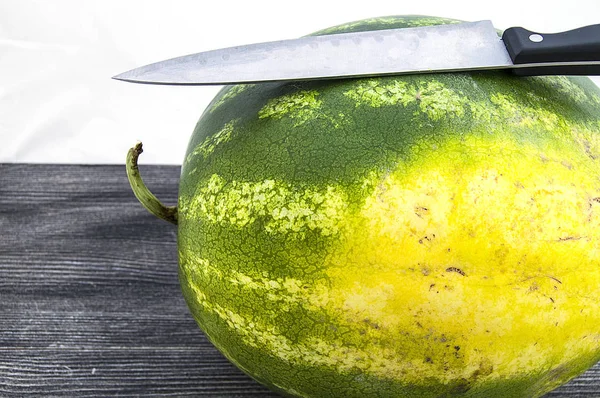 Fruit indispensable des mois d'été pastèque, en attendant que vous soyez coupé avec un couteau — Photo