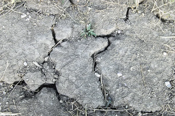 Le siccità che si sono verificate dopo l'equilibrio ecologico del mondo si sono deteriorate, la formazione di crepe nella terra, la siccità riscaldamento globale, terreni aridi separati dalla sete — Foto Stock