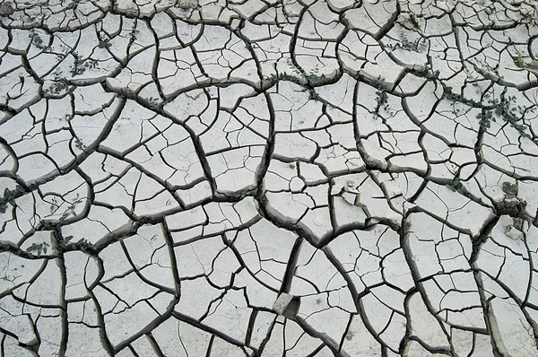 Dünya ekolojik Dengesi bozulan sonra oluşan kuraklık, çatlaklar yeryüzünde, küresel ısınma kuraklık, kurak topraklarda Rainless kuru, susuzluktan ayrılmış oluşumu toprak, çatlama toprak resimler, kuraklık resimler kırık