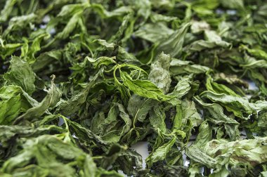 Kuru nane, taze nane doğal ve organik resimler, Kuru nane sosu çorba, Kuru nane kuru resme, sağlık, yemek nane içine koymak şartları içinde nane kurutulmuş