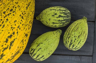 ham ve olgunlaşmamış küçük kavun yemek kilo, kavun bağırsak, düşük kalorili buzağı çalıştırmak için,