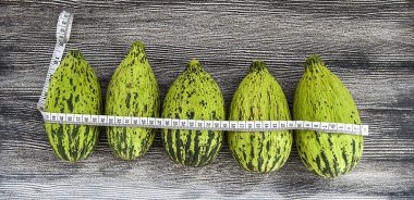 ham ve olgunlaşmamış küçük kavun yemek kilo, kavun bağırsak, düşük kalorili buzağı çalıştırmak için,