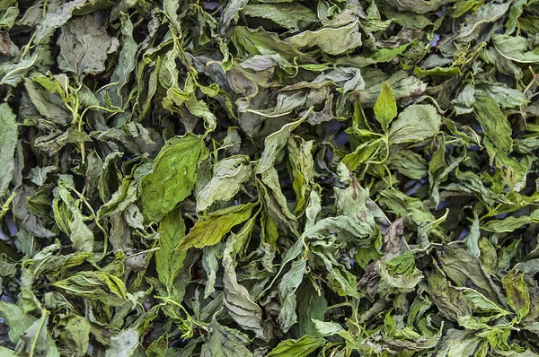 dried mint, natural and organic fresh mint pictures, dried mint sauce into the picture to make soup,dry dried mint, dried mint in terms of health, put into meal mint pictures