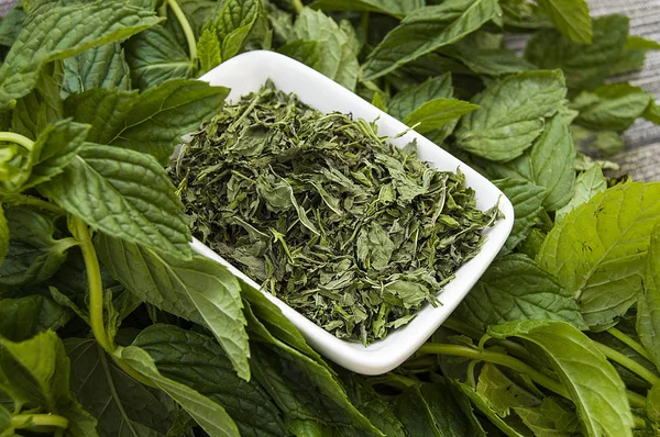 Kuru nane, taze nane doğal ve organik resimler, Kuru nane sosu çorba, Kuru nane kuru resme, sağlık, yemek nane içine koymak şartları içinde nane kurutulmuş