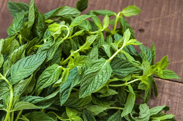 Mint Kering Gambar Mint Segar Alami Dan Organik Saus Mint — Stok Foto