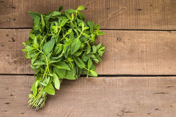 Mint Kering Gambar Mint Segar Alami Dan Organik Saus Mint — Stok Foto