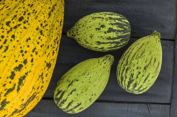 ham ve olgunlaşmamış küçük kavun yemek kilo, kavun bağırsak, düşük kalorili buzağı çalıştırmak için,