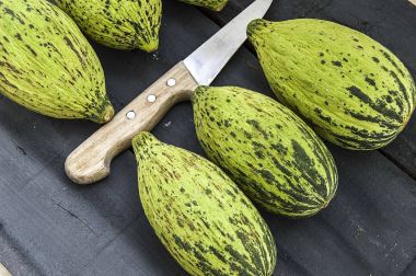 küçük kavun bir bıçak ile kesmek, olgunlaşmamış bir yemek kavun, olgunlaşmamış küçük kavun,