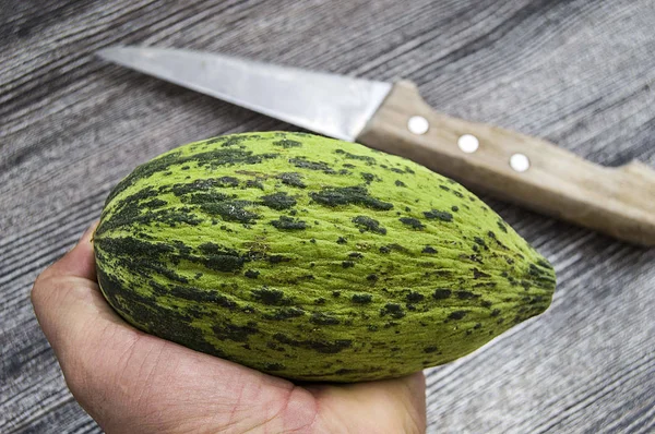 küçük kavun bir bıçak ile kesmek, olgunlaşmamış bir yemek kavun, olgunlaşmamış küçük kavun,