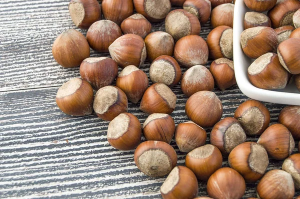 shell hazelnut pictures, hazelnut pictures from turkey,dry shelled hazelnuts pictures, turkey nuts pictures,