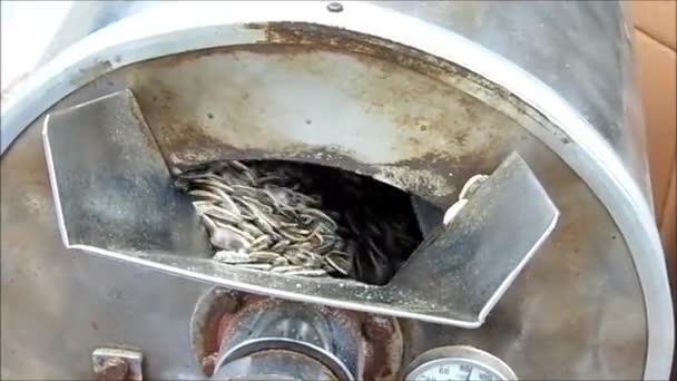 Las Semillas Girasol Tostadas Horno Son Nueces Frescas Preparación Imagen — Vídeo de stock