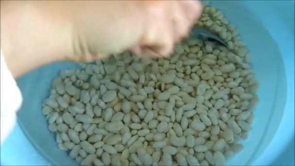将干燥的豆子混合在水中的容器中烫伤 — 图库视频影像
