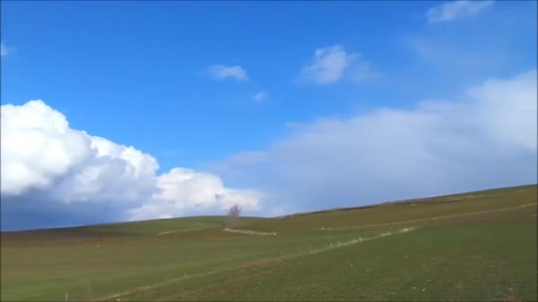 Chemische Düngung Düngung Landwirtschaftlicher Felder Dünger Weizen Und Gerstenfelder — Stockvideo