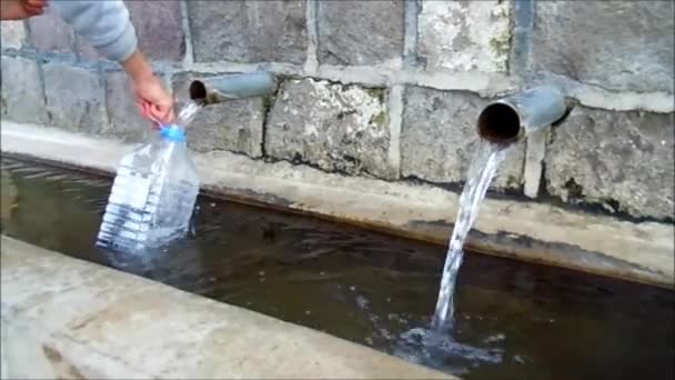 天然流水 纯净而清新的泉水 天然泉水流水 冷水喷泉 — 图库视频影像