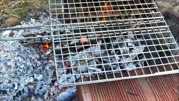 バーベキューのコンロ バーベキューでバーベキュー グリル鍋 ストーブの上に肉を調理するには — ストック動画