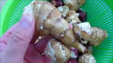 Elması, elması, sonraki plaka bir ahşap zemin üzerinde bir bıçak ile kesmek ve yemek için hazır,