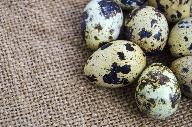 birçok Bıldırcın yumurta bir ahşap zemin üzerinde keten çanta üzerinde