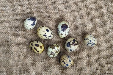 birçok Bıldırcın yumurta bir ahşap zemin üzerinde keten çanta üzerinde