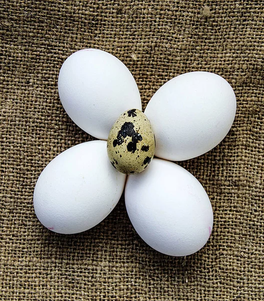 Oeufs Poulet Blanc Oeufs Caille Tiennent Côte Côte Sur Plancher — Photo