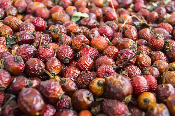 kuşburnu meyve resimleri, Kuşburnu, ahşap zeminler, Kuşburnu çayı kış aylarında kurutulmuş kuşburnu resimleri üzerinde kurutulmuş kuşburnu tea.natural kuşburnu resimleri içmeyi kuşburnu kurutma kurutma bir tepsisine kurutulmuş,