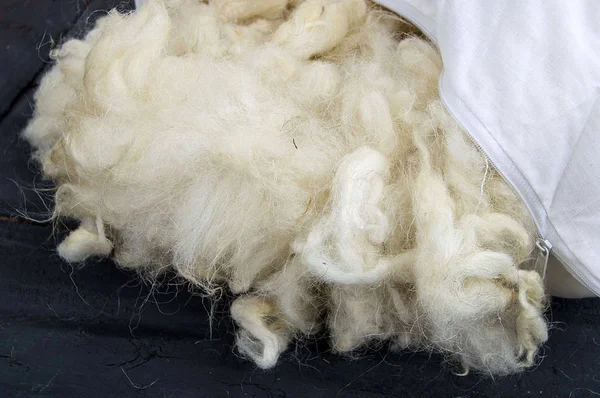 sheep wool, wool pictures, make quilts and pillows with natural wool,