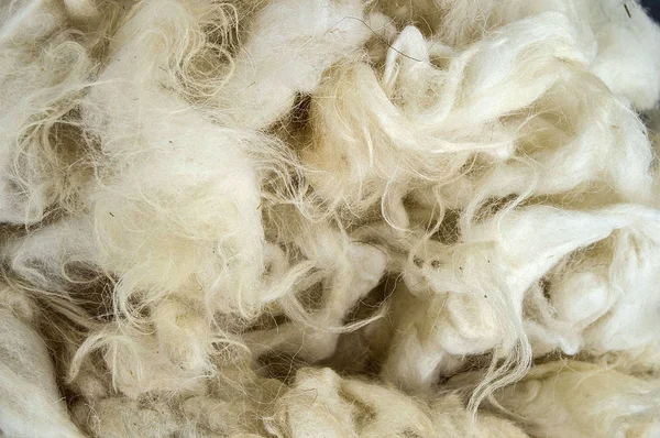 sheep wool, wool pictures, make quilts and pillows with natural wool,