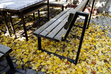 park ve soluk sarı masa oturan yaprakları, romantik sonbahar resimleri,
