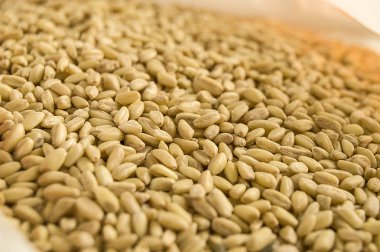 soyulmuş buğday tahıllar, Türkiye'de çorba yapmak için kullanılan buğday taneleri