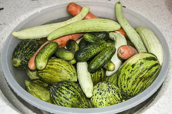 materials needed to make pickles pictures of vegetables for pickling, pictures of gherkin, pepper, melon, carrot, cucumber and garlic