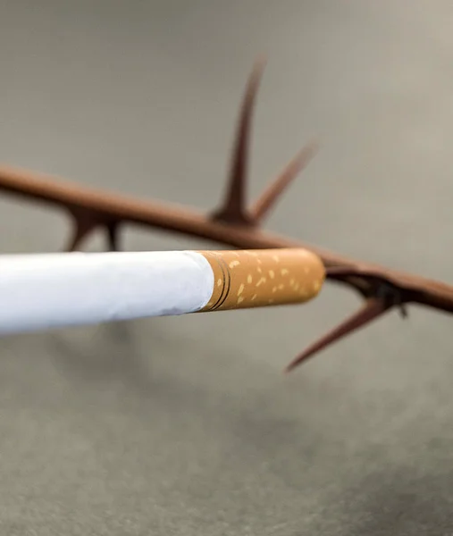 Θάμνος Και Τσιγάρο Κάπνισμα Σκοτώνει Ανθρώπους — Φωτογραφία Αρχείου