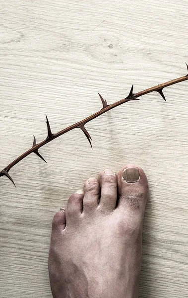 Ένα Ανθρώπινο Πόδι Στο Έδαφος Και Αγκάθια Θάμνους Αγκάθια Και — Φωτογραφία Αρχείου