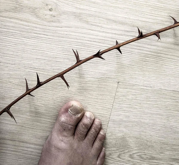 Ένα Ανθρώπινο Πόδι Στο Έδαφος Και Αγκάθια Θάμνους Αγκάθια Και — Φωτογραφία Αρχείου