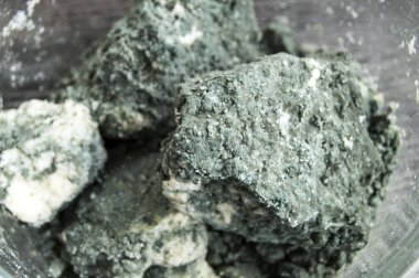 küflü peynir, penisilin hammadde küflü peynir,