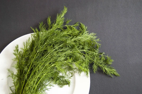 Dill Stands Plate Dill Plant Black Floor — Stock Photo, Image