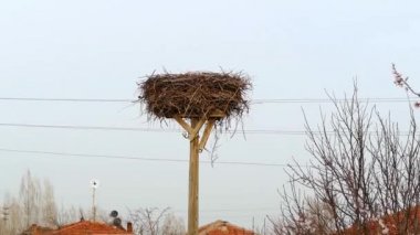 bir boş stork's nest